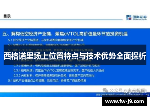 西格诺里场上位置特点与技术优势全面探析