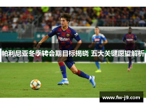 帕利尼亚冬季转会期目标揭晓 五大关键愿望解析