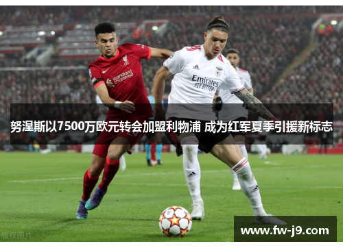 努涅斯以7500万欧元转会加盟利物浦 成为红军夏季引援新标志 努涅斯以7500万欧元转会加盟利物浦 成为红军夏季引援新标志